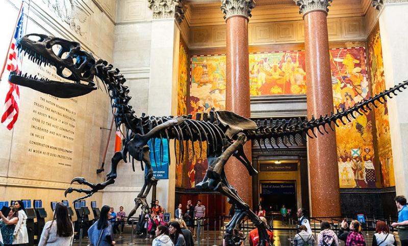 Qué hacer en Nueva York 