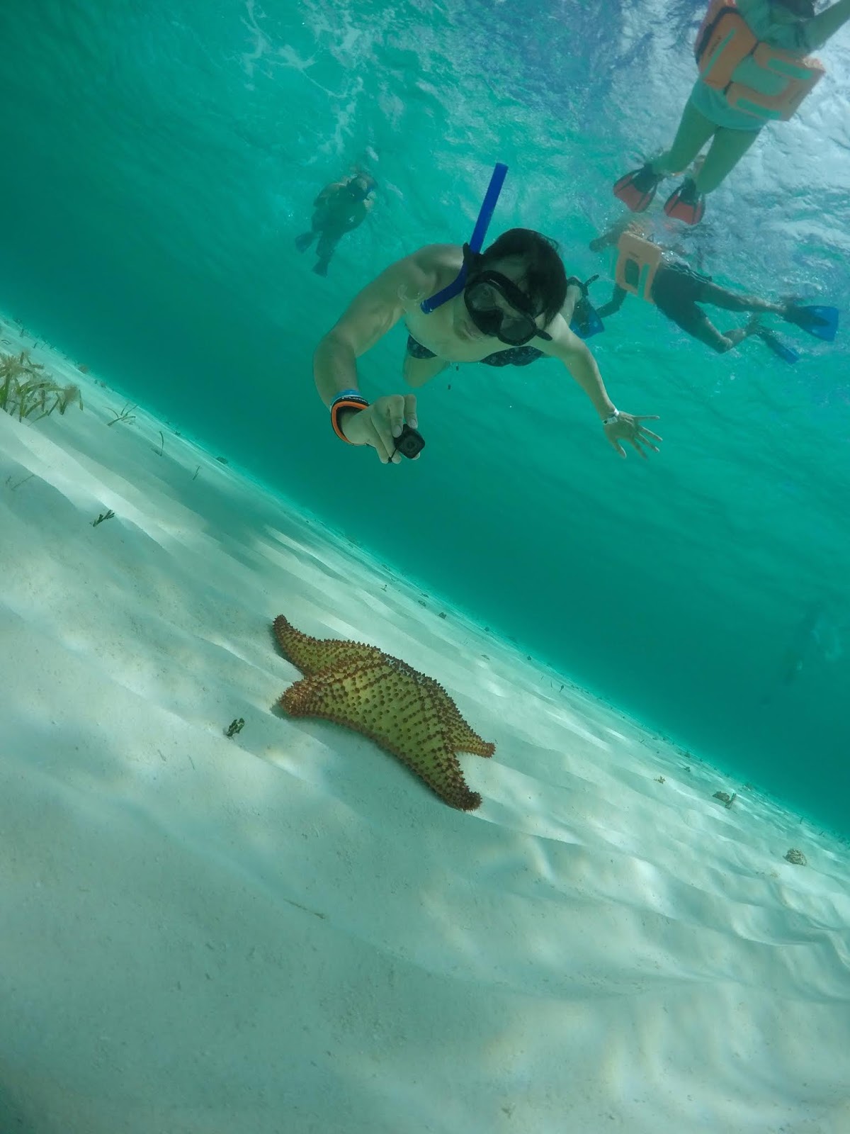 Playa el cielo cozumel 