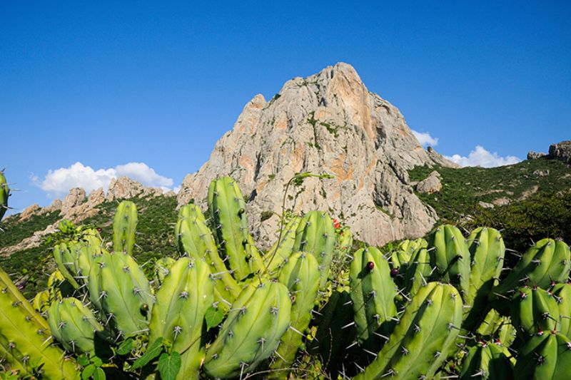 que hacer en Peña de Bernal 