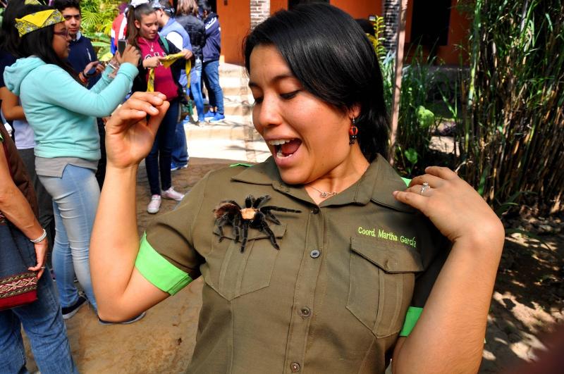 que hacer en Malinalco