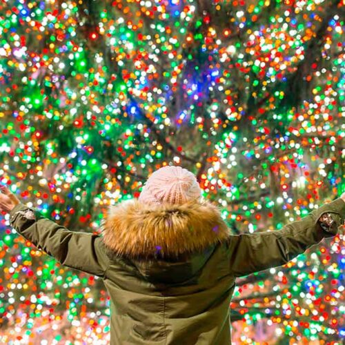 navidad en nueva york