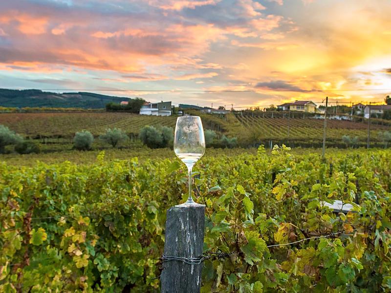 Napa Valley es uno de los lugares de California favorito por los amantes del vino