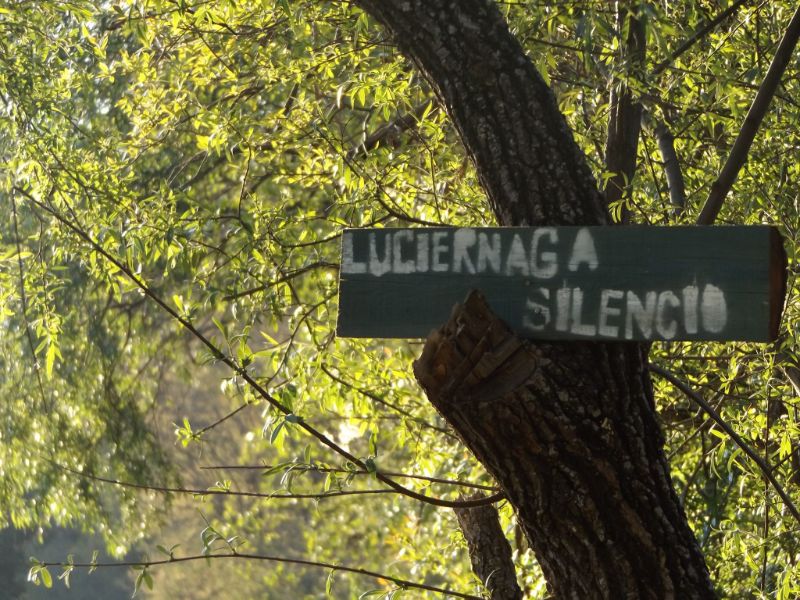 Santuarios de Luciérnagas en Michoacán: El Llanito