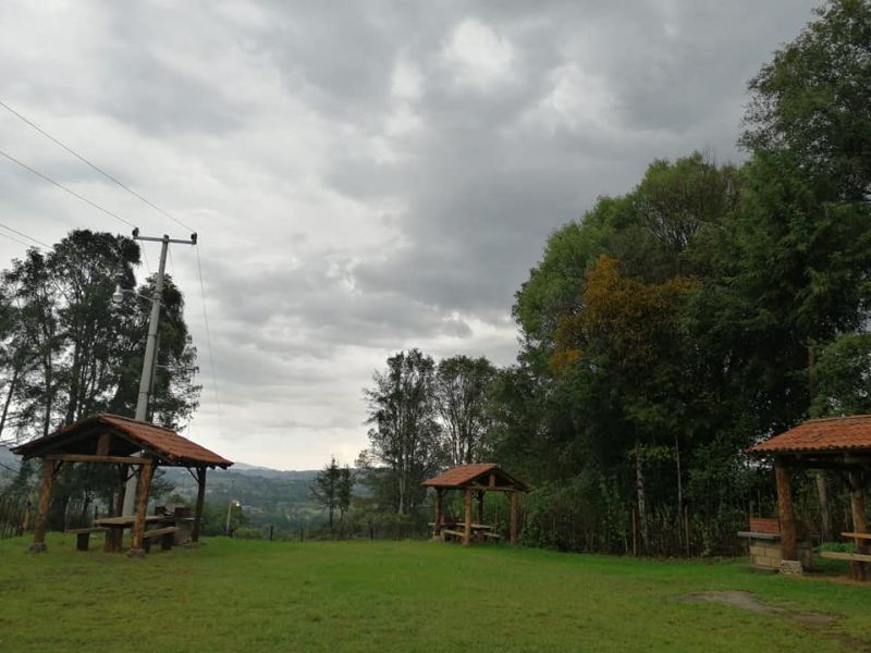 Recomendaciones para disfrutar de los Santuarios de las Luciérnagas en Michoacán