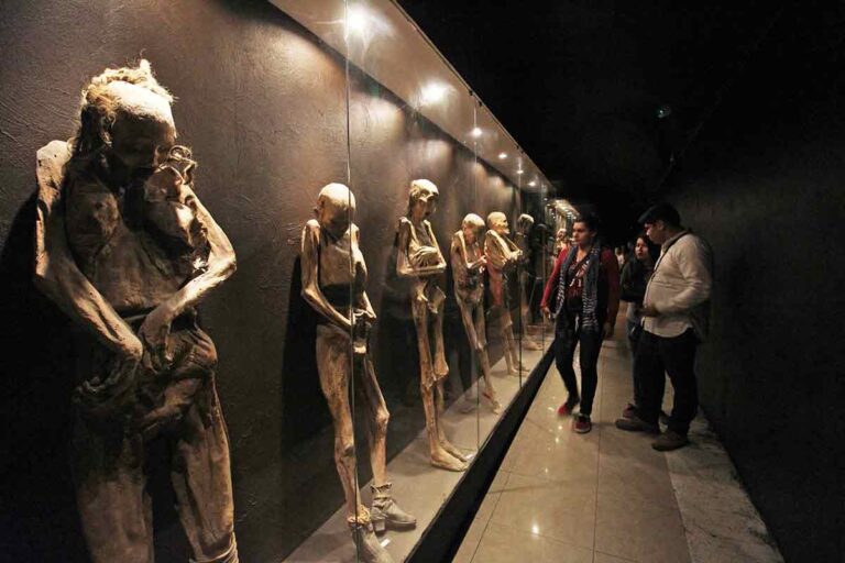 La leyenda de las momias de Guanajuato: La original - viajaBonito