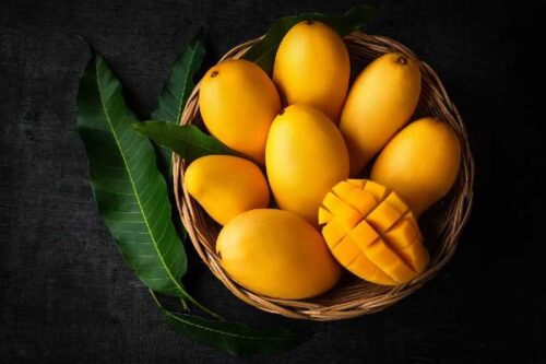Mango Ataulfo: Su historia y 10 curiosidades