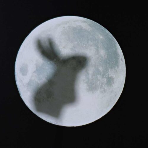 leyenda del conejo en la luna