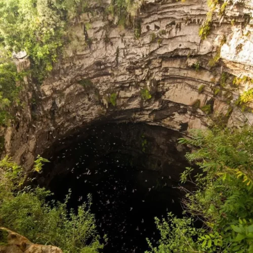 sótano de las golondrinas