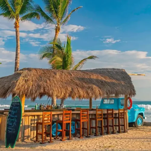 Descubre Punta de Mita