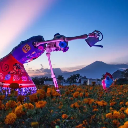 Valle de las catrinas