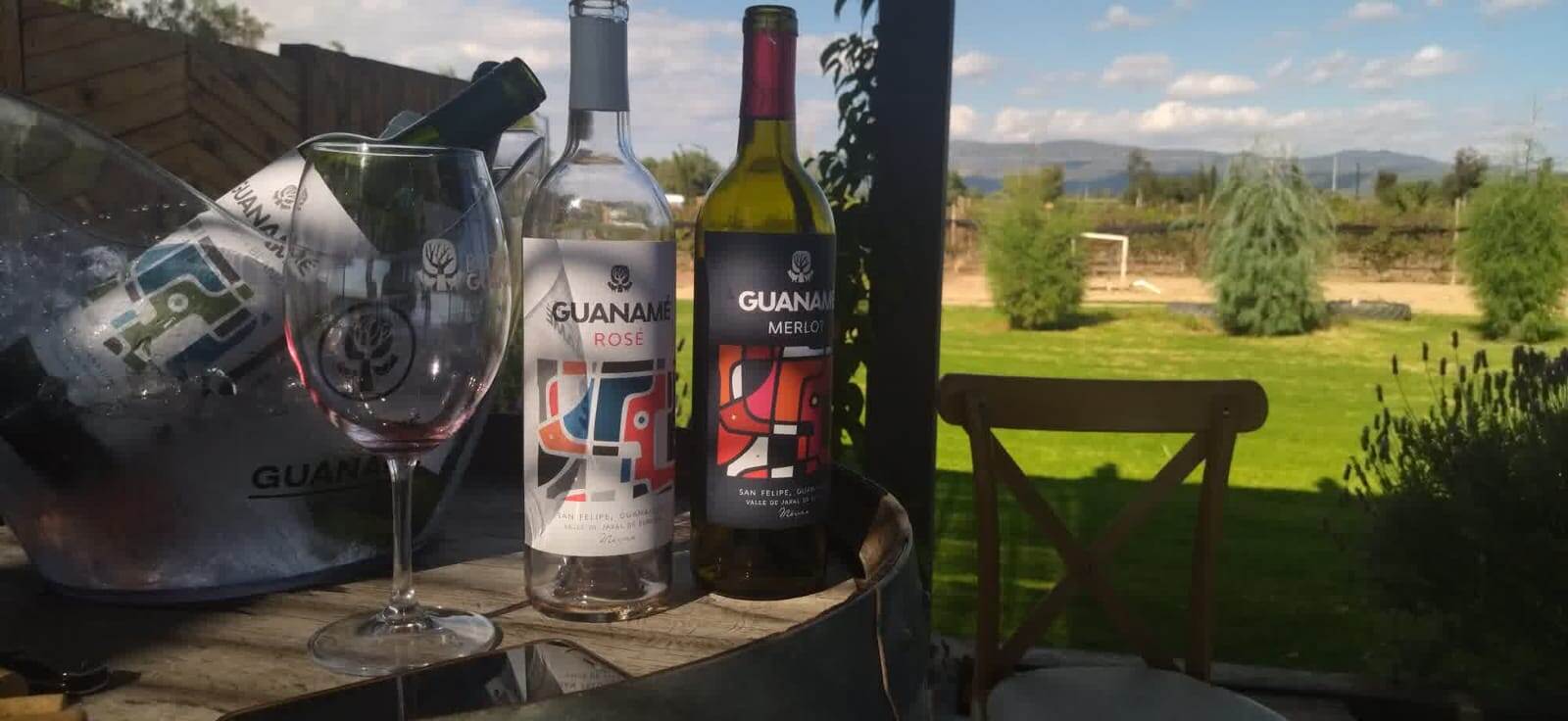 vinos-guanajuato-guaname