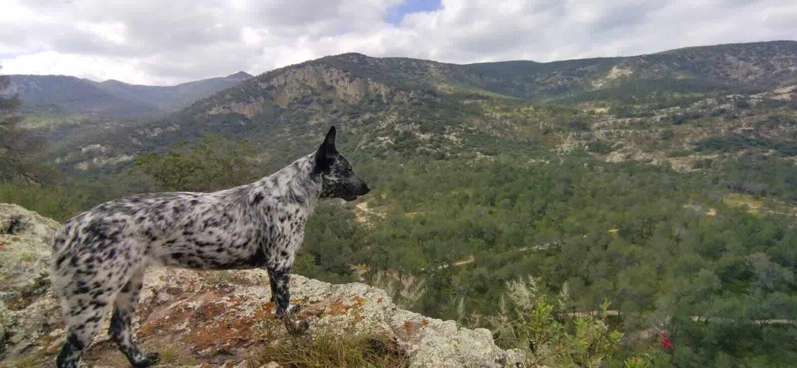 san-diego-de-la-union-pena-alta-norte-de-guanajauto
