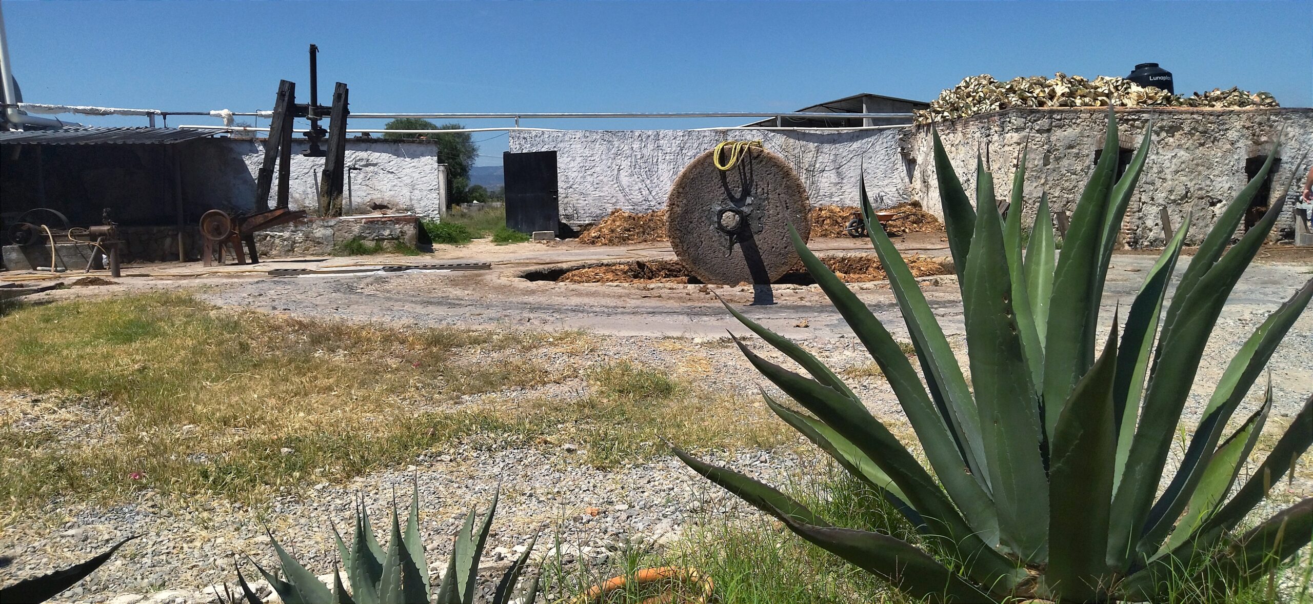 Mezcal-villa-suso-san-felipe-guanajuato