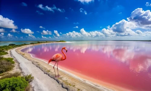 las coloradas yucatan