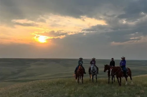 saskatchewan