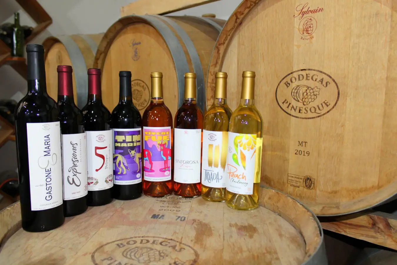 Bodegas Pinesque