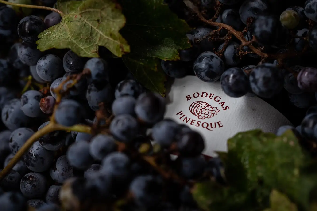 Bodegas Pinesque